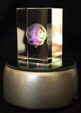 Crystal Brain Hologram w/ LED Base Crystal,Brain,3d,laser etched,holographic,led base