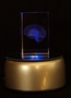Crystal Brain Hologram w/ LED Base - PRM-CRYSBR