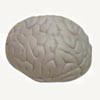 Stress-relief Brains
